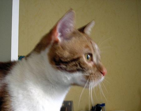 La derni�re de l'ann�e